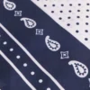 60×60 Seidenbandana mit Print 60×60 Seidenbandana mit Print