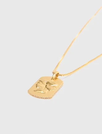 Halskette mit Sternzeichen-Plakette Halskette mit Sternzeichen-Plakette