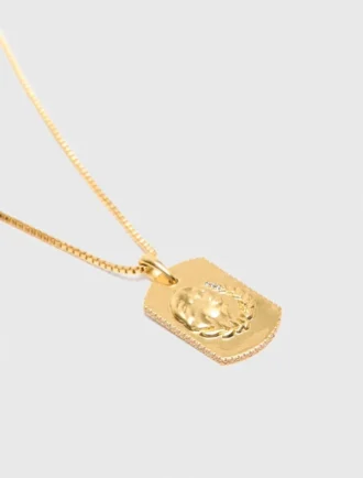 Halskette mit Sternzeichen-Plakette Halskette mit Sternzeichen-Plakette